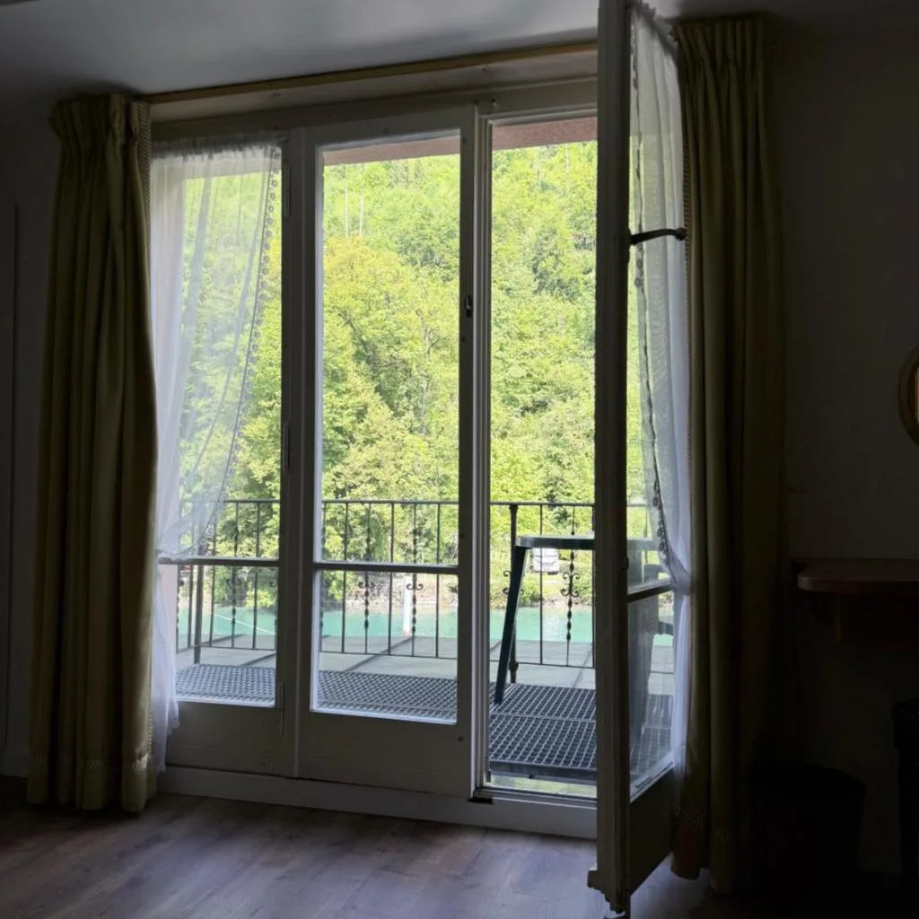 Hotel Du Lac - صورة 4