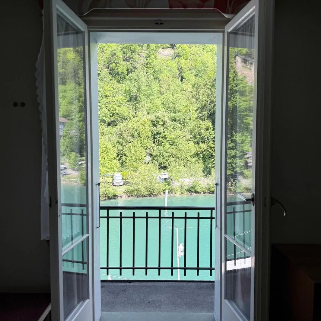 Hotel Du Lac - صورة 7