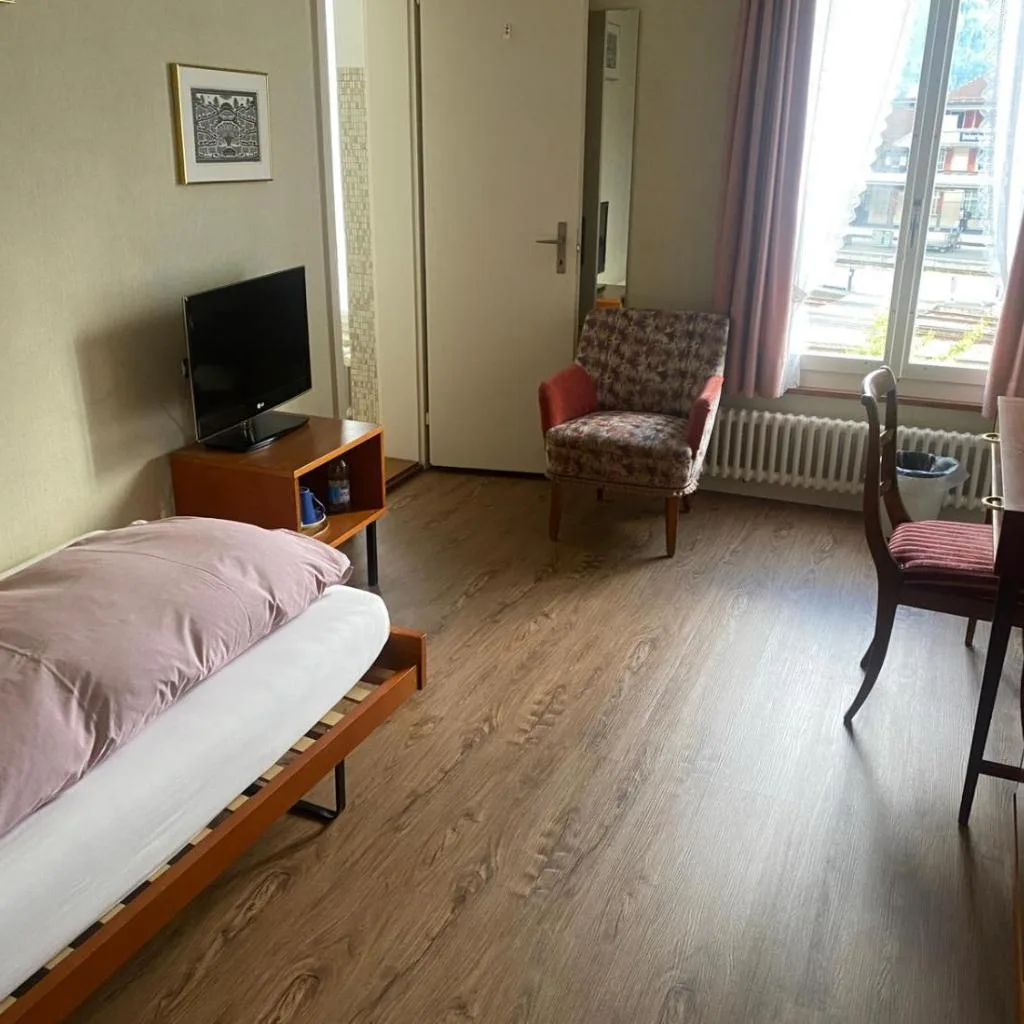 Hotel Du Lac - صورة 9