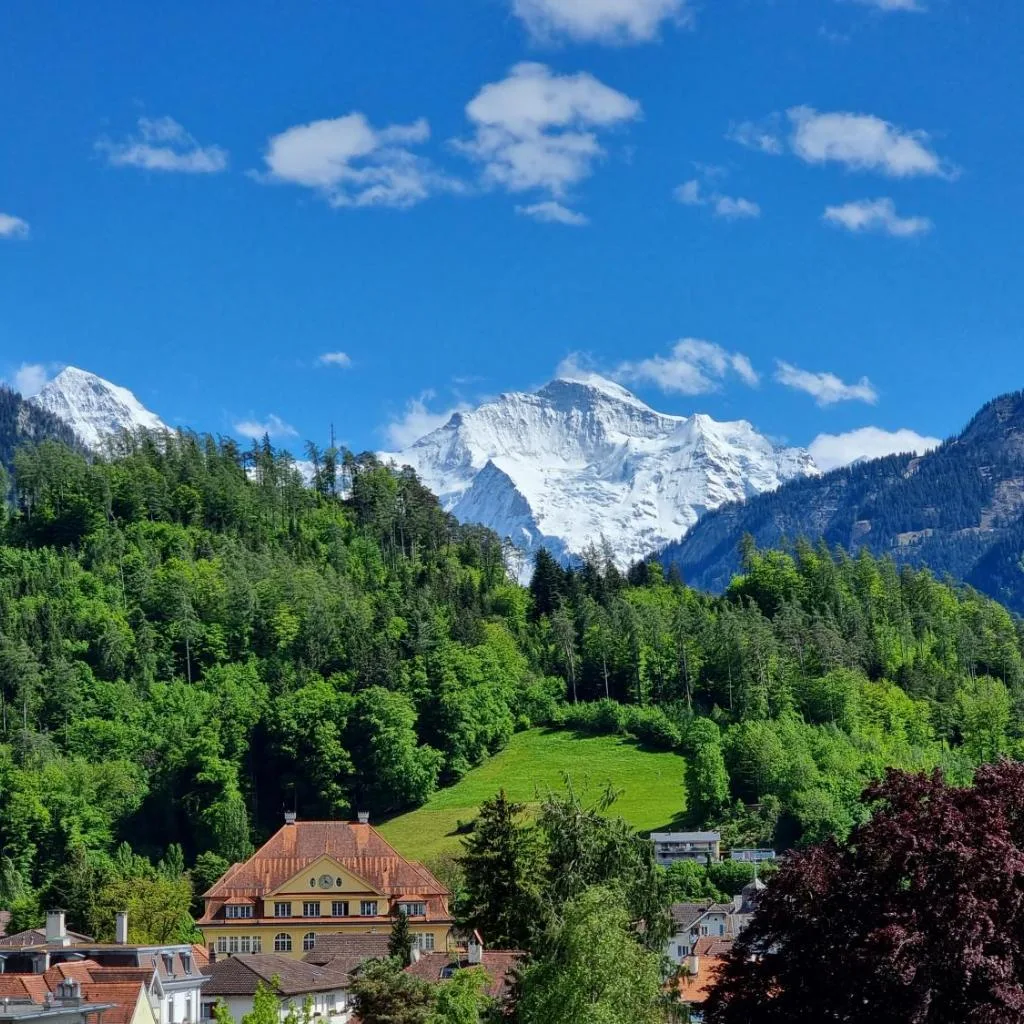 Hotel Bernerhof - صورة 3