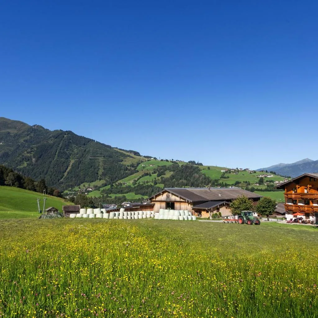 Oberlehenhof - صورة 5