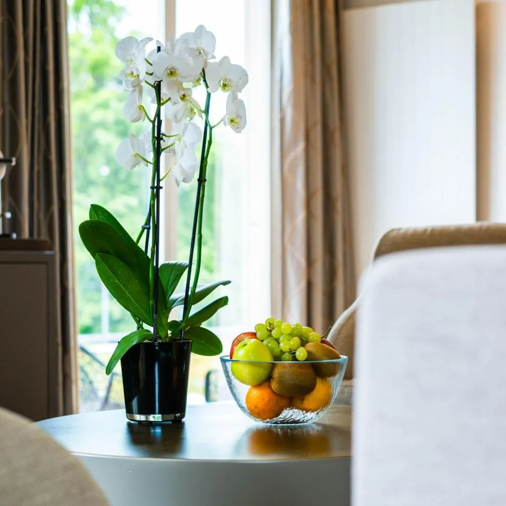 Hotel Seepark Thun - صورة 12