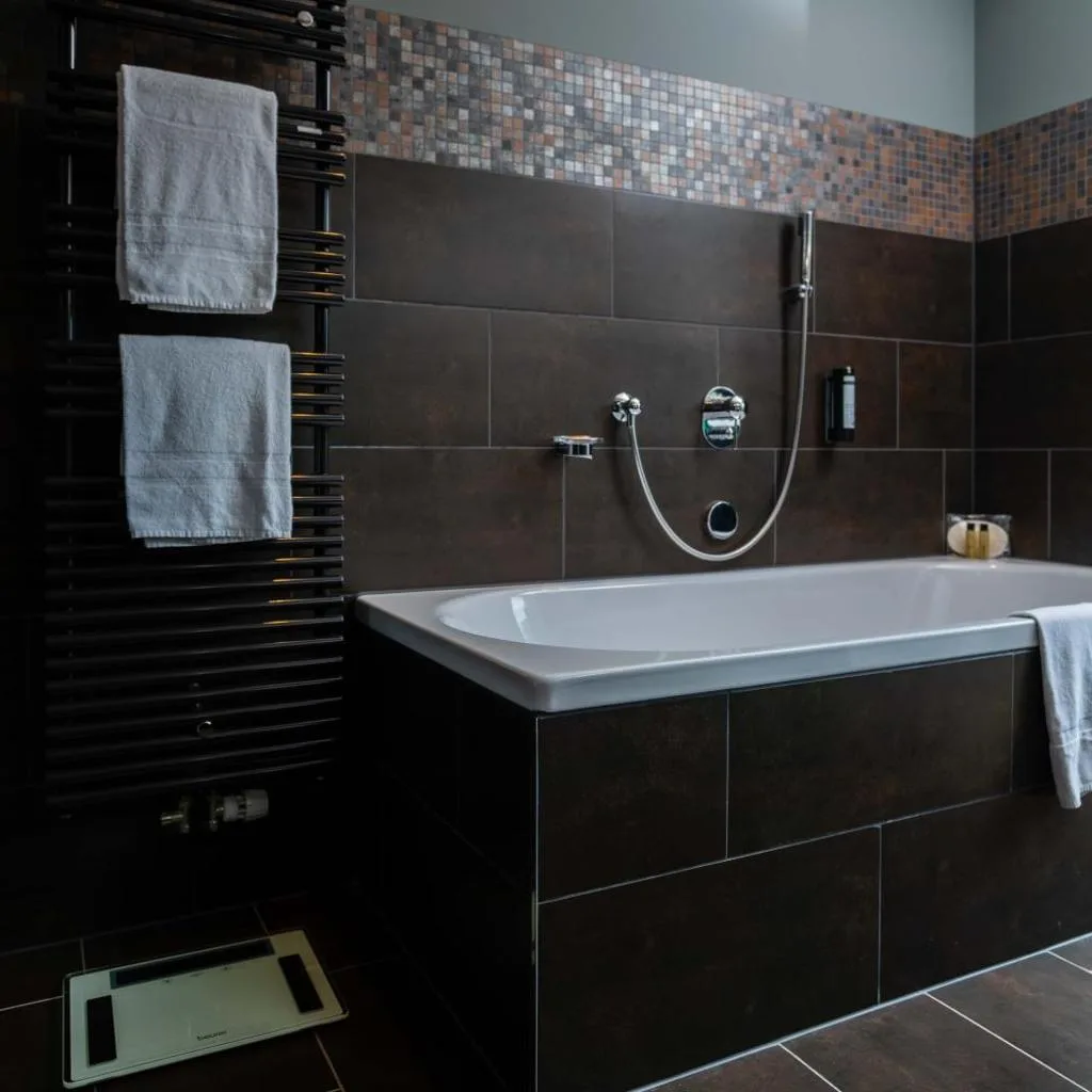 Hotel Seepark Thun - صورة 13