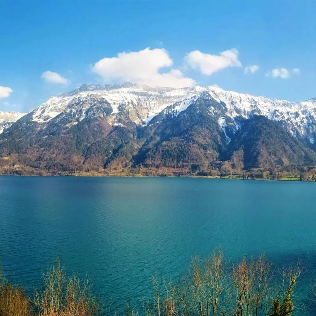 Hotel Brienzersee - صورة 10