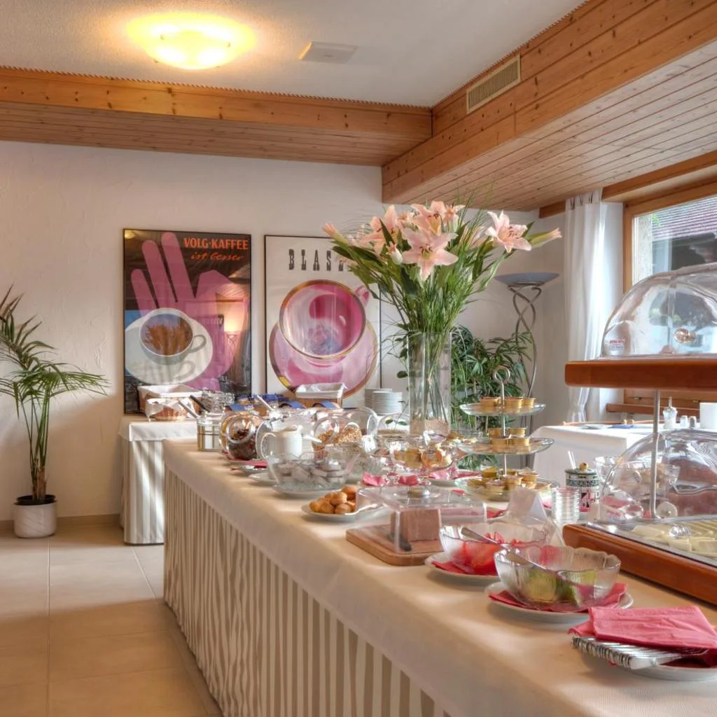 Hotel Brienzersee - صورة 11