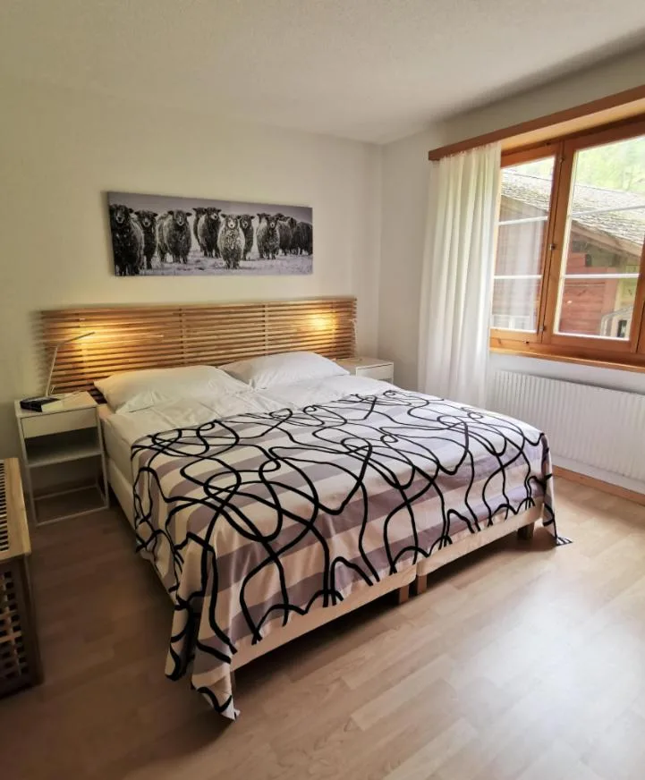 Hotel Brienzersee - صورة 3