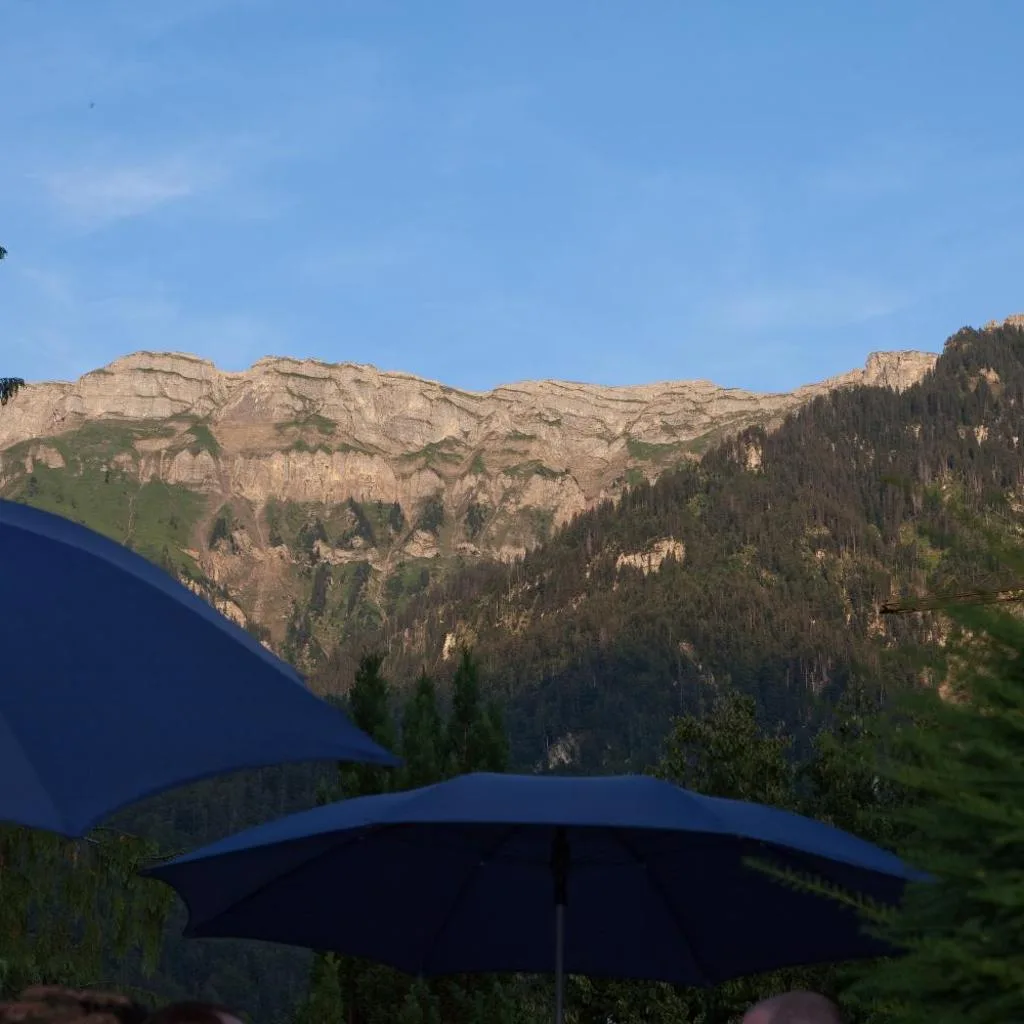 Seehotel Bönigen - صورة 8