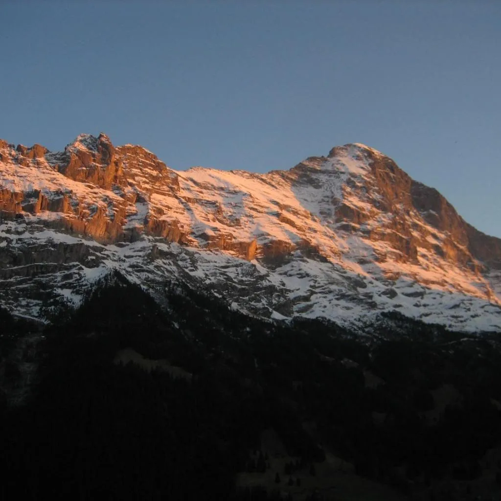 Hotel Bernerhof Grindelwald - صورة 13