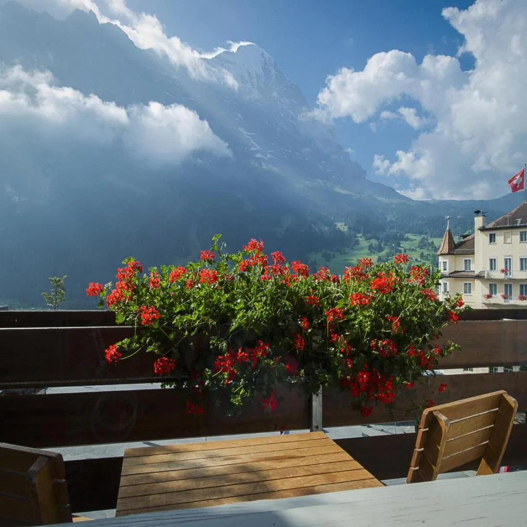 Hotel Bernerhof Grindelwald - صورة 6